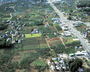 甲斐国分尼寺跡