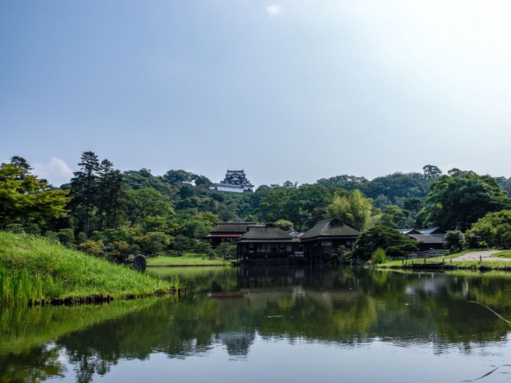 玄宮園から彦根城を仰ぐ